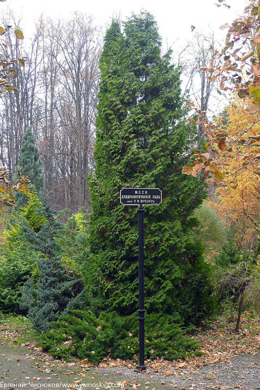На Пасечной улице напротив пасеки находится Дендрологический сад имени Шредера (Арборетум), основанный в 1870 году. 